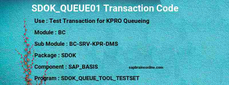 SAP SDOK_QUEUE01 transaction code