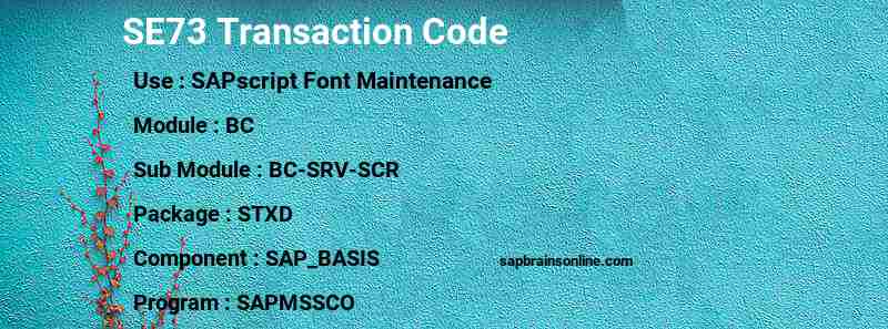 SAP SE73 transaction code