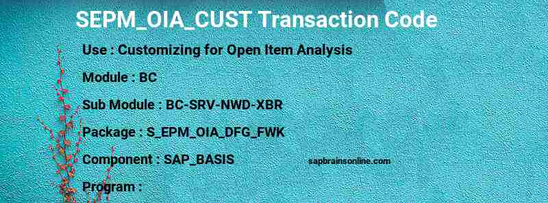 SAP SEPM_OIA_CUST transaction code