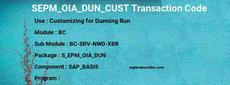 SAP SEPM_OIA_DUN_CUST transaction code