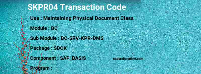SAP SKPR04 transaction code