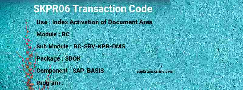 SAP SKPR06 transaction code
