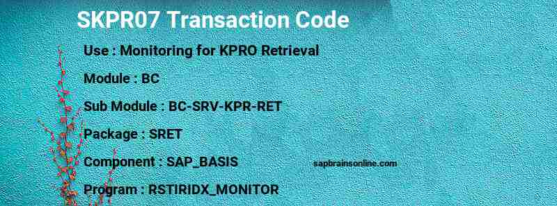 SAP SKPR07 transaction code