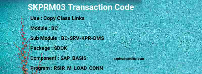 SAP SKPRM03 transaction code