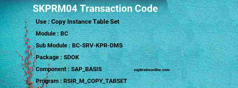 SAP SKPRM04 transaction code