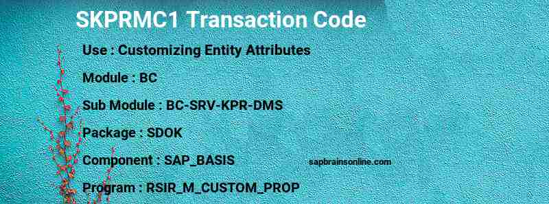 SAP SKPRMC1 transaction code