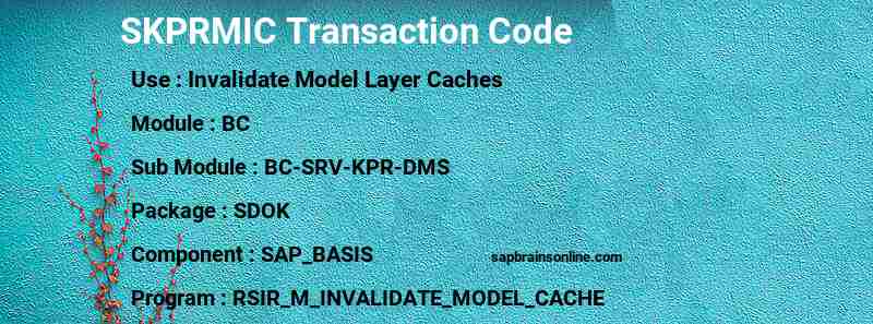 SAP SKPRMIC transaction code