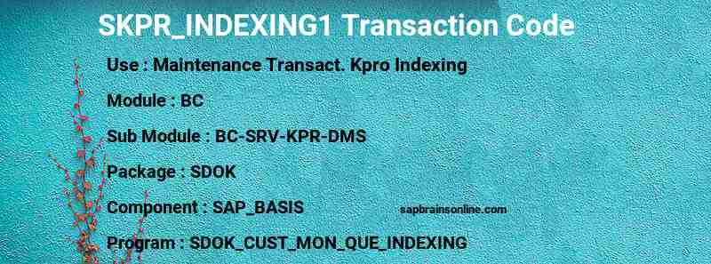 SAP SKPR_INDEXING1 transaction code