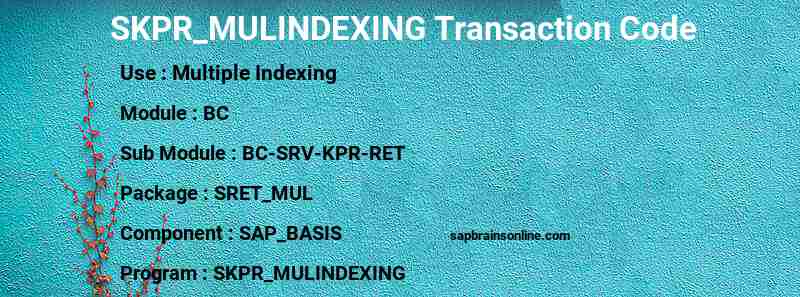 SAP SKPR_MULINDEXING transaction code