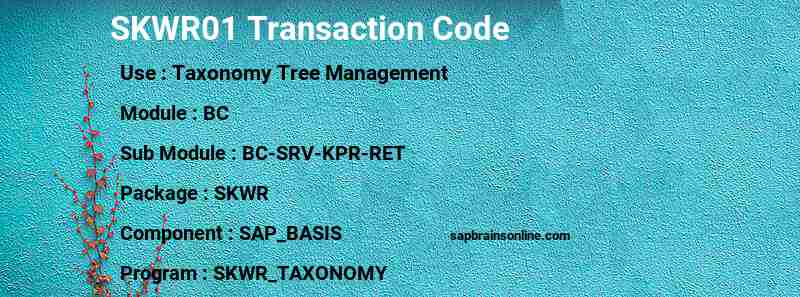 SAP SKWR01 transaction code