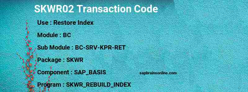 SAP SKWR02 transaction code