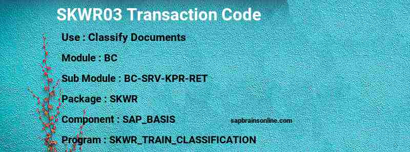 SAP SKWR03 transaction code