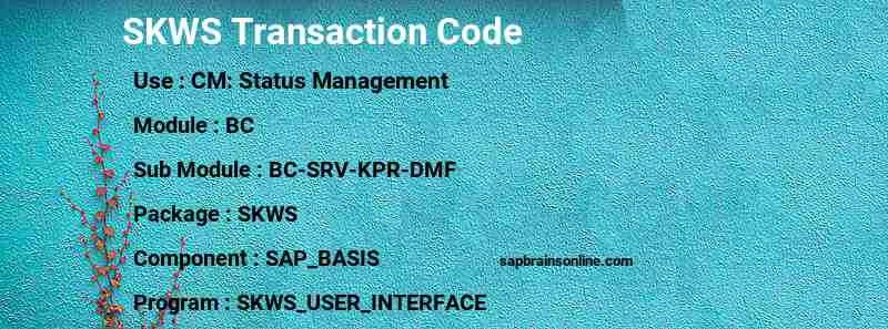 SAP SKWS transaction code