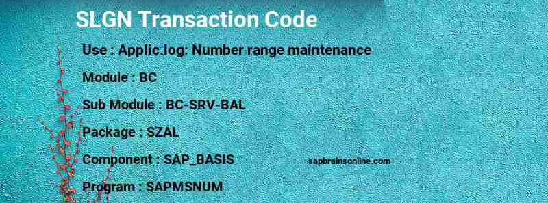 SAP SLGN transaction code