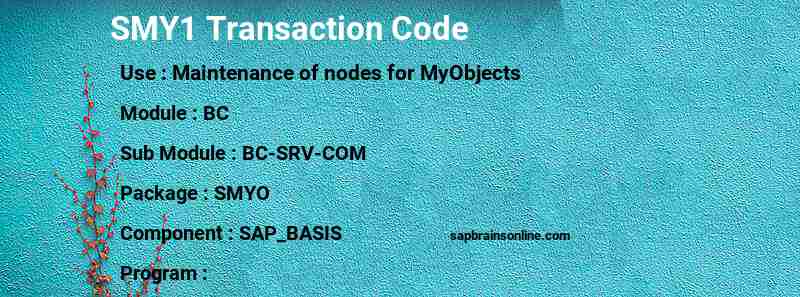 SAP SMY1 transaction code