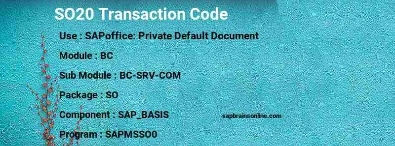 SAP SO20 transaction code