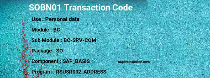 SAP SOBN01 transaction code