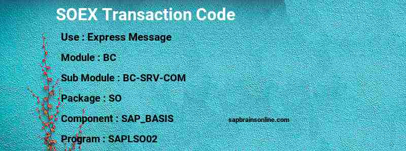 SAP SOEX transaction code