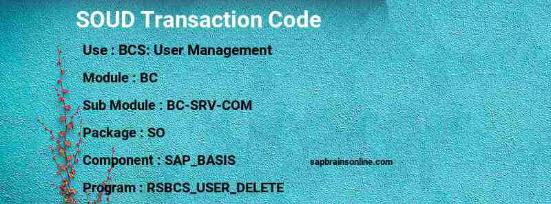 SAP SOUD transaction code