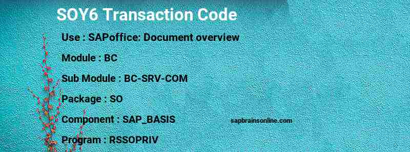 SAP SOY6 transaction code