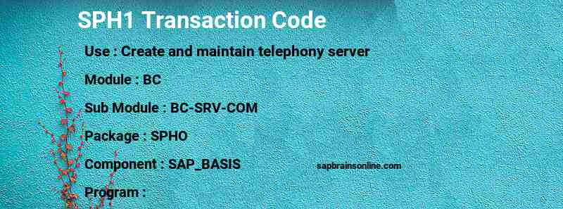 SAP SPH1 transaction code