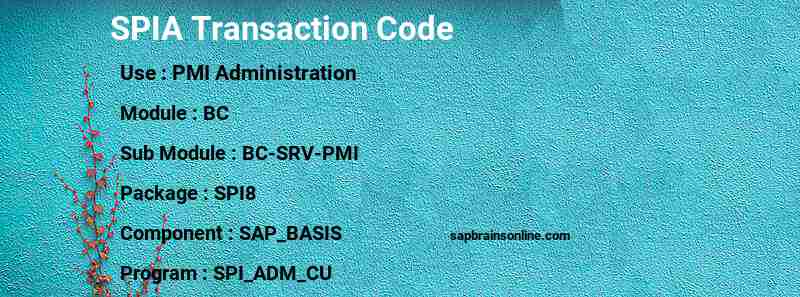 SAP SPIA transaction code