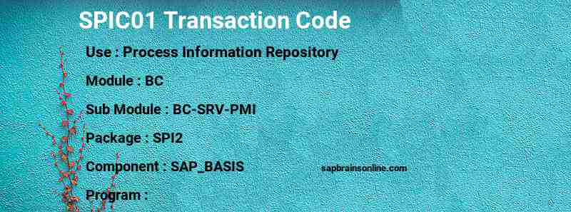 SAP SPIC01 transaction code