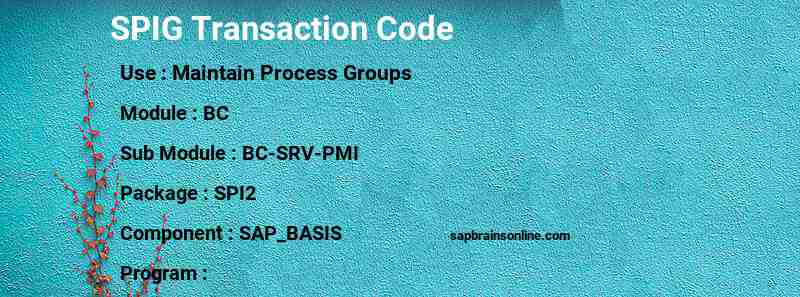 SAP SPIG transaction code