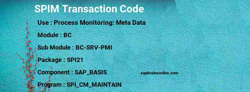 SAP SPIM transaction code