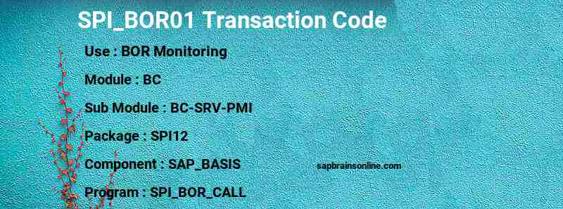 SAP SPI_BOR01 transaction code