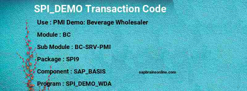 SAP SPI_DEMO transaction code