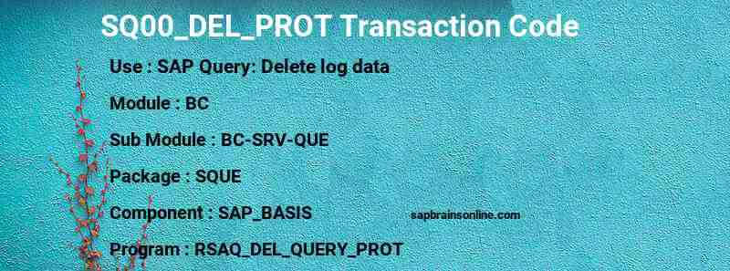 SAP SQ00_DEL_PROT transaction code