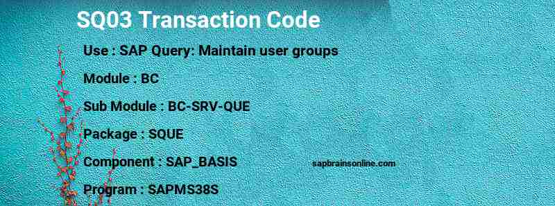 SAP SQ03 transaction code