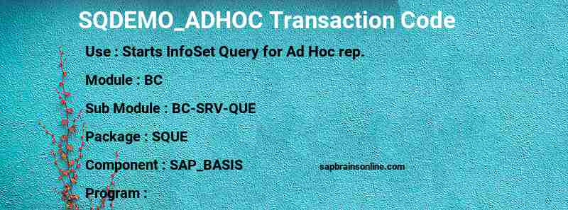 SAP SQDEMO_ADHOC transaction code