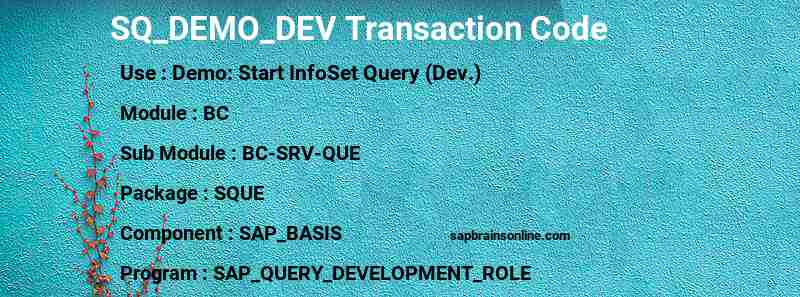 SAP SQ_DEMO_DEV transaction code