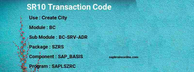 SAP SR10 transaction code