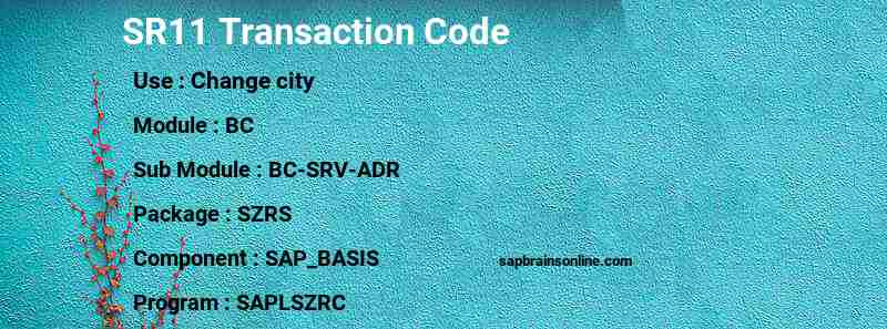 SAP SR11 transaction code