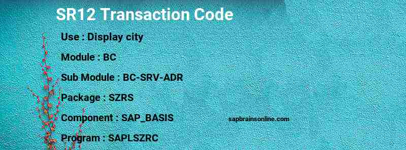 SAP SR12 transaction code