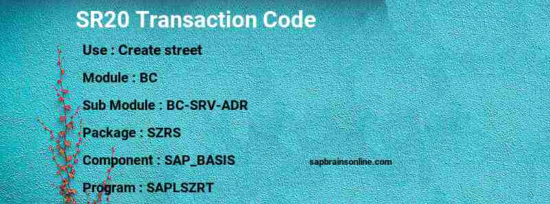 SAP SR20 transaction code