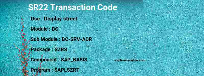 SAP SR22 transaction code