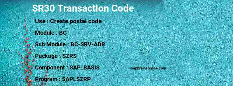 SAP SR30 transaction code