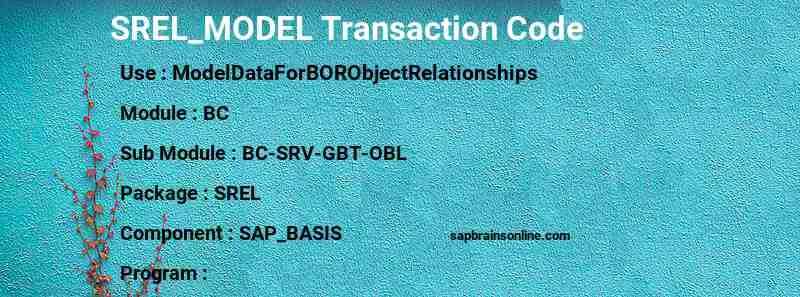 SAP SREL_MODEL transaction code