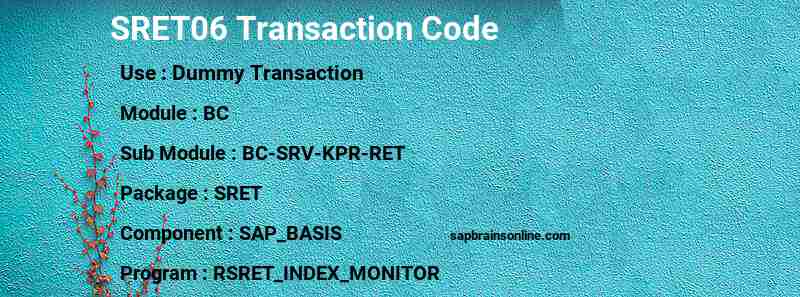 SAP SRET06 transaction code