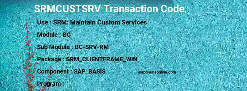 SAP SRMCUSTSRV transaction code