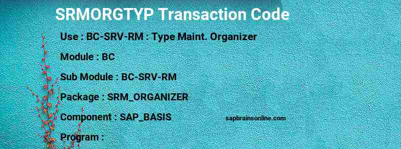 SAP SRMORGTYP transaction code