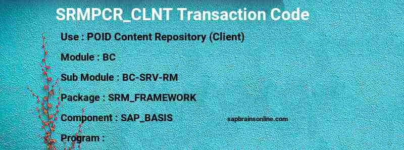 SAP SRMPCR_CLNT transaction code