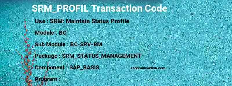 SAP SRM_PROFIL transaction code