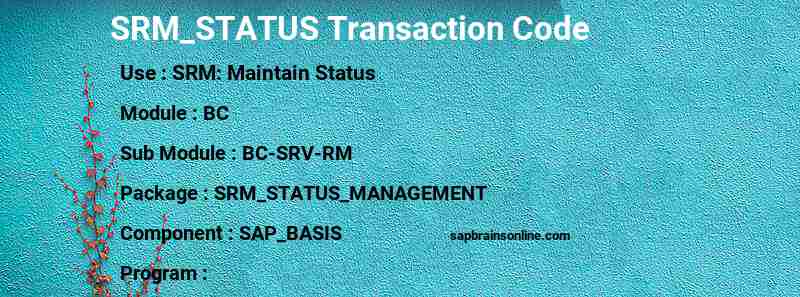SAP SRM_STATUS transaction code