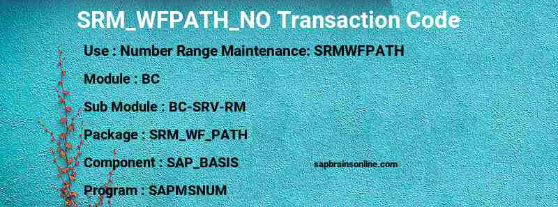 SAP SRM_WFPATH_NO transaction code