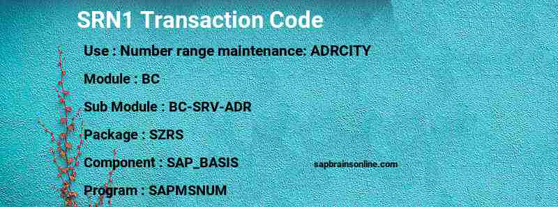 SAP SRN1 transaction code